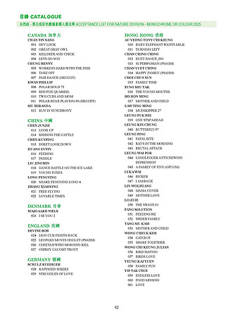 HKCC-Salon-cataloge 2025_Page_44