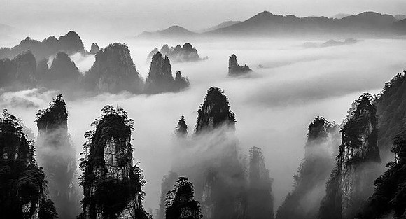 亞軍：張裕佳(雲湧峰浮)