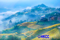 丁耀良(A.HKCC)