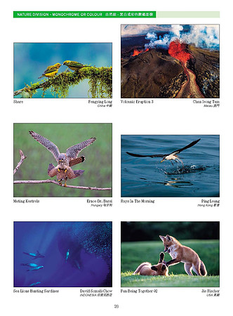 HKCC-Salon-cataloge 2025_Page_30