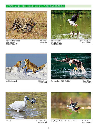 HKCC-Salon-cataloge 2025_Page_28