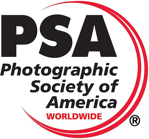 PSA logo