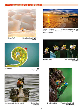 HKCC-Salon- Cateloge2021-42