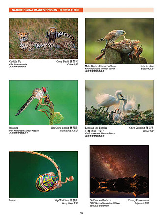 HKCC-Salon- Cateloge2021-41