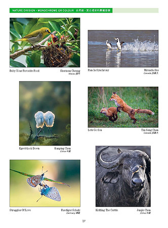 HKCC-Salon-cataloge 2025_Page_29
