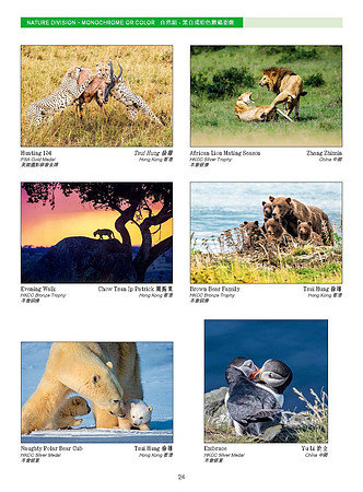 HKCC-Salon- Cateloge2023_Page_26