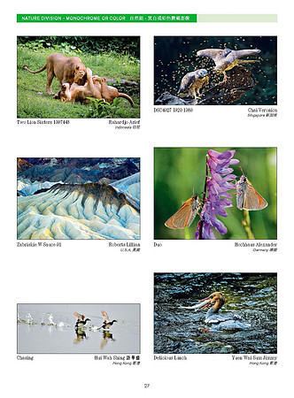 HKCC-Salon- Cateloge2023_Page_29
